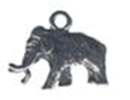 Picture of 1013   Mammoth Charm 