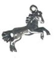 Picture of 1033   Horse Charm 