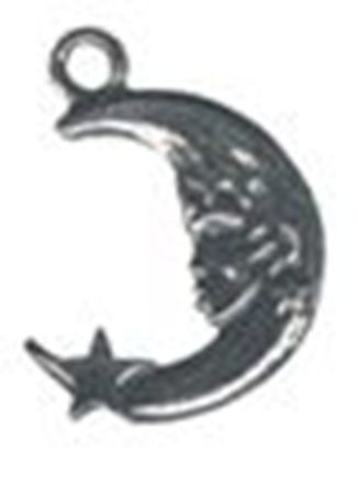 Picture of 1058   Moon Charm 