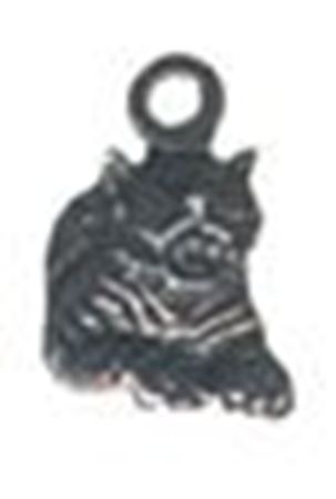 Picture of 1112   Tiger Charm 