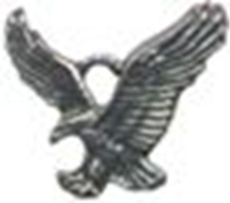 Picture of 1122   Eagle Charm 