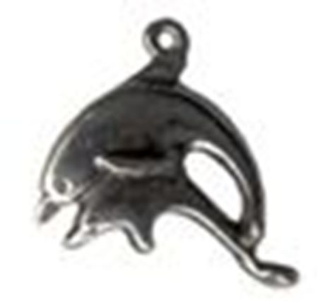 Picture of 1135   Dolphins Charm 