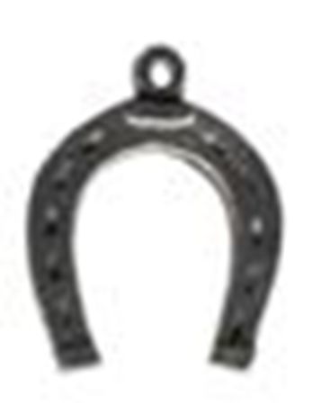 Picture of 1138   Horseshoe Charm 