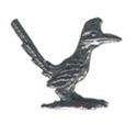 Picture of A1013   Roadrunner Figurine 