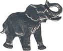 Picture of B2101   Elephant Flat 