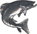 Picture of B2106   Fish Flat 