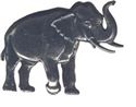 Picture of C3101   Elephant Flat 