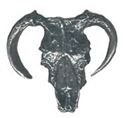 Picture of C3103   Stear Skull Flat 