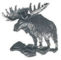 Picture of C3104   Moose Flat 