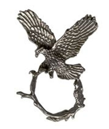 Picture of C3125   Eagle Eyeglass Holder Pin 