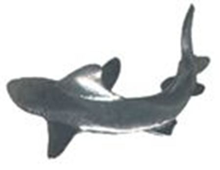 Picture of D4040   Shark Figurine 