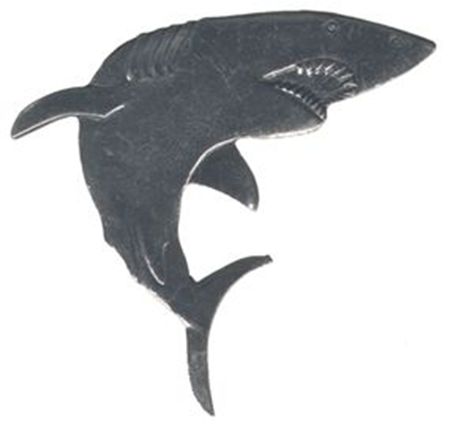 Picture of E5112   Shark Flat 