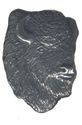 Picture of H8041   Buffalo Head Flat 